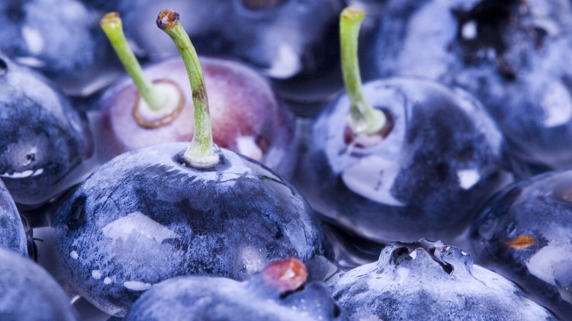 weberry